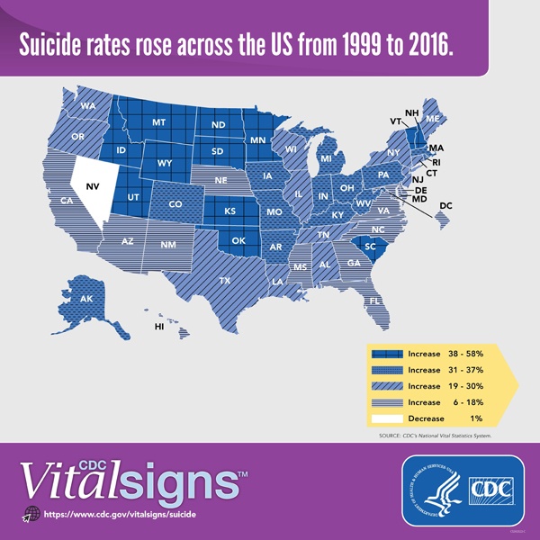 US suicide rates